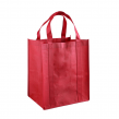 Non-Woven Bag