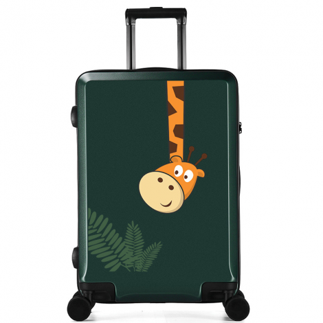 Personalized Trolley case 20 inch Luggage Trolley case